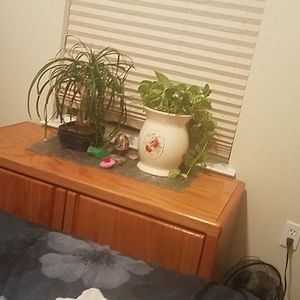 Meet your Posher, Lenora